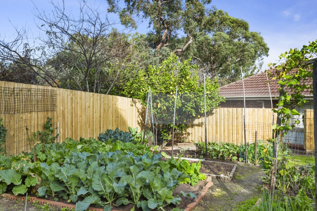 Barrina Gardens — photo 138